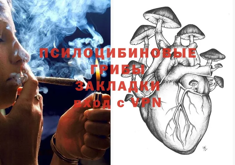 Псилоцибиновые грибы GOLDEN TEACHER Калач